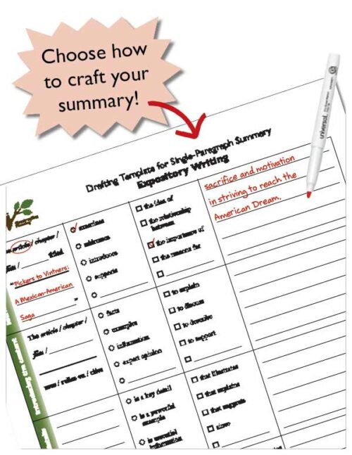 seccm summary poster 72 1